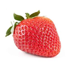 Fresa Strawberry Frutas del Bosque