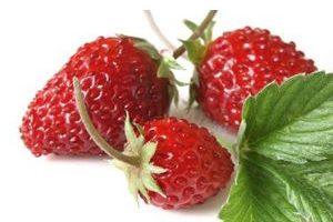 Fresa Silvestre wild strawberry Frutas del Bosque