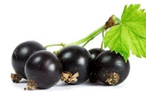Grosella Negra Black Currants Frutas del Bosque