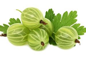 Grosella Espinosa gooseberry fruit Frutas del bosque