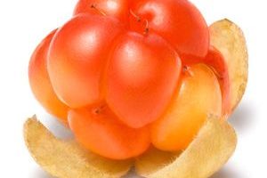 Mora de los pantanos cloudberry Frutas del Bosque