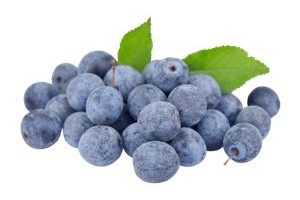 Endrina Blackthorn fruit Fruta del bosque