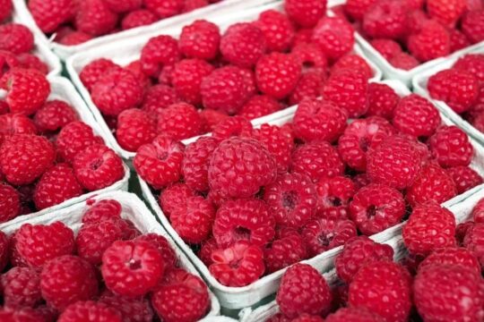 comprar frambuesas raspberry