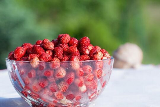 porcion de fresas dieta adelgazar