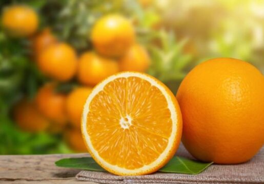 mejores naranjas