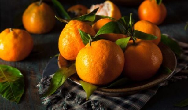 naranja satsuma