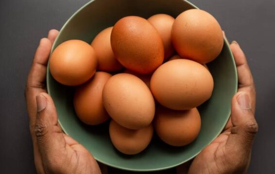 conservar huevos