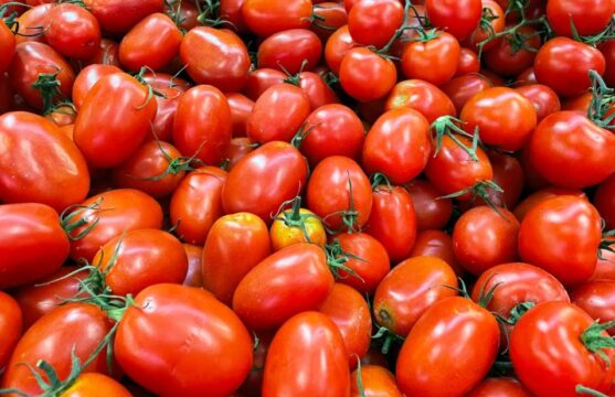 tomates_frutas_verduras